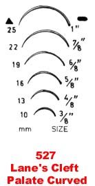 Lane's Cleft Palate Curved